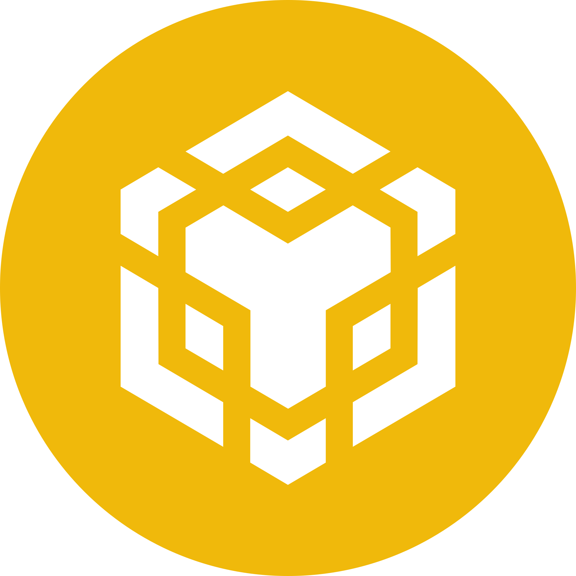 BNB Launch Playbook